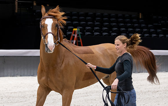 L'équitation