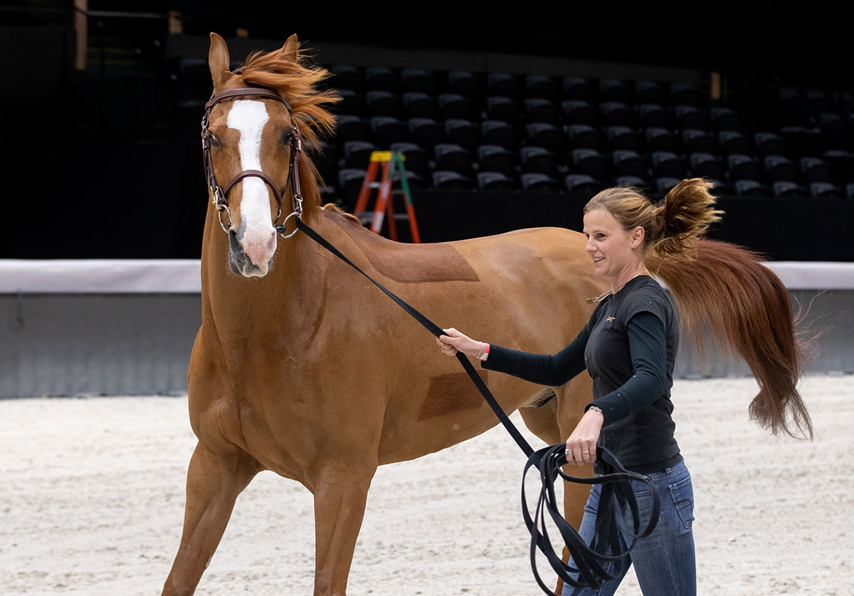 Fabrique de l'équitation responsable